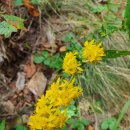 백산의료기 이미지