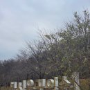 북서울꿈의숲 서문 | 북서울꿈의숲 방문 후기(Feat. 동문 주차장 주차 및 가격), 북서울꿈의숲 분식집 드림랜드 떡볶이, 김밥...