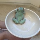 미어켓파크 이미지