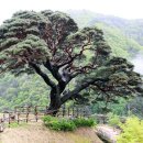 산솔마을 이미지