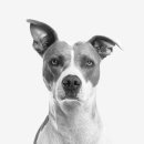 금강종합쇼핑센터 이미지