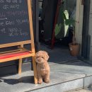 2019년 2월 일기장