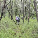 미탄초등학교 이미지