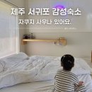 제주독채펜션감성숙소사우나 | 제주 감성숙소 서귀포 가족 독채펜션 훈온, 31개월 아기 자쿠지 사우나 이용후기