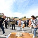 남한산성문화제 티스토리