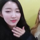 일리다 Daum카페