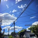 서어지공원(중앙광장) | 산살바도르 산베니토 가볼만한 곳 | 공원 광장 감성 산책코스 추천