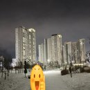 능수버들공원로 네이버블로그