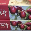 텃골농원