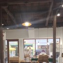 시우그리다 이미지