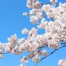 창범슈퍼 이미지