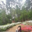 참샘약수터 이미지