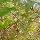 달팽이신경과 | 손목터널증후군 수술 후 빠른 회복 원한다면