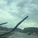 C2 | 경주 캠핑 사이트 추천, 경주 아름드리 캠핑장 C1, C2 사이트 후기