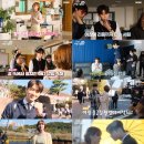 사랑스럽개 이미지