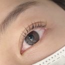늘솜언니 이미지