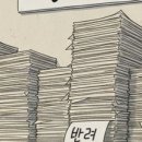 정주산업동물병원 | 2026년 2월 19일 반려동물 뉴스 스크랩