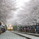 진해공설운동장 야구장 네이버블로그