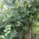 후겸농장 이미지