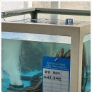 기장바다장어구이 이미지