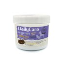 인터펫코리아 이미지