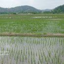 시동리경로당 이미지