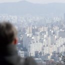 낙동강오리알 이미지