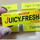 쥬시후레쉬 이미지