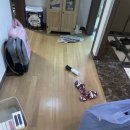 44홀릭 | 서초동 입주청소 청소홀릭 프리미엄 후기 - 서초 입주청소