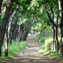 옥구공원숲속도서관 | 주택가와 산업단지 사이의 특별한 숲, 옥구공원 ~ 곰솔누리숲