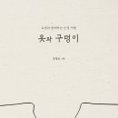 한국NCD미디어