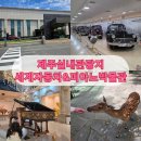 자동차의거리 | 제주 자동차박물관 아이와 함께 즐긴 세계자동차&amp;피아노박물관 방문 후기