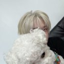 나;지금여기