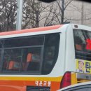 사파동214 이미지