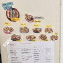 샌드이크 이미지