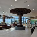 마루인터내셔날 이미지