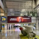 테그24 앞 | 새벽 비행기 여행객 필독! 인천공항 T1 스카이허브라운지 24시간 완벽 후기