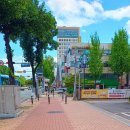 이심점심 | 수성구청년센터 이심점심 참여 후기 (feat. 샌드위치 만들기 &amp; 반려동물 정서 강연)