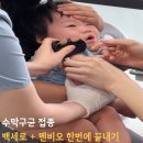백세의원 | 돌 아기 예방접종 후기 수막구균 백세로 + 멘비오 동시 접종