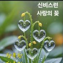 취미는운동 이미지