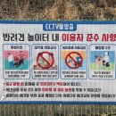 삼막애견공원 내 화장실 | 안양 애견동반 삼막애견공원 주차, 운영 시간, 편의시설 총정리