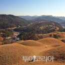 대가야박물관 이미지