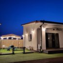 더스테이 골드독 이미지