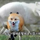 연성 이미지