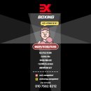 이엑스 복싱(EX BOXING) 이미지