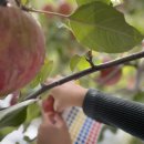 원오농장 이미지