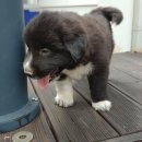 보미농장 이미지