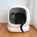 유진덴탈 | 고양이 변비 유산균, 먹여본 영양제 TOP5