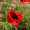 지천생태공원 이미지