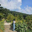 성공회수산 | 강화집 닭곰탕 / 돈대카페 아웃포스트 / 온수리성공회성당 / 인천수산 대하 양식장 포장 손질 후기)